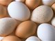 关于鸡蛋的8大疑惑 如何挑选鸡蛋？怎么吃更营养？